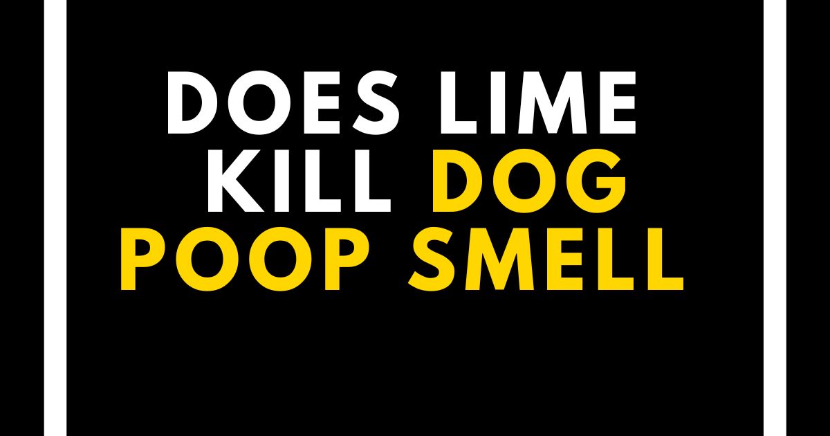 Does Lime Kill Dog Poop Smell?