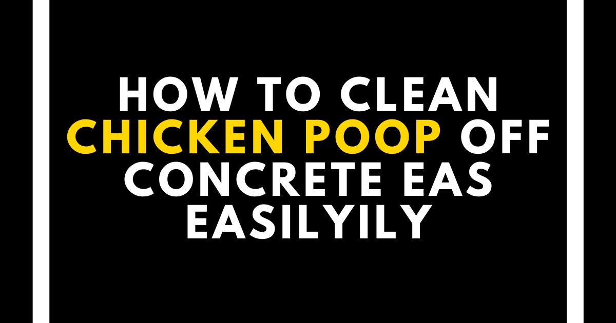 How to Clean Chicken Poop Off Concrete