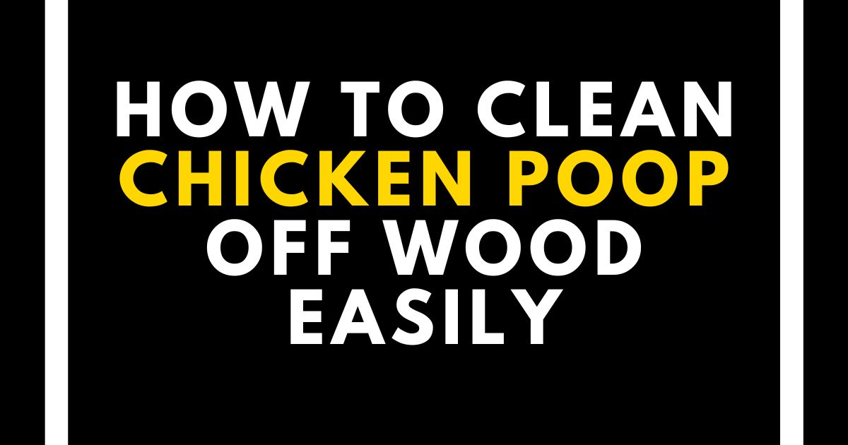 How to Clean Chicken Poop Off Wood